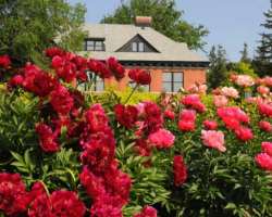 The Ornamental Gardens is the most preferred tourist attraction with lilac walls, perennial borders, roses, hedges, and other beautiful plants which a
